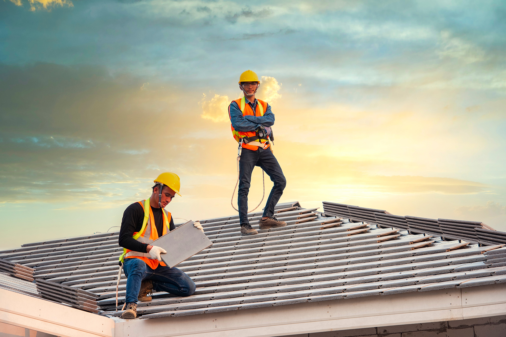 Roof Shingles